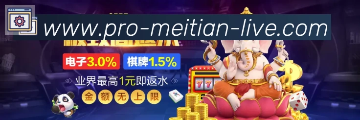 登录器